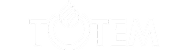 Logo blanc sur fond gris clair comportant le mot TOTEM en lettres grasses et stylisées, le O ressemblant à une flamme ou à un symbole de feu.